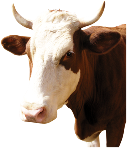 Watch Stormy Daniels порно видео онлайн