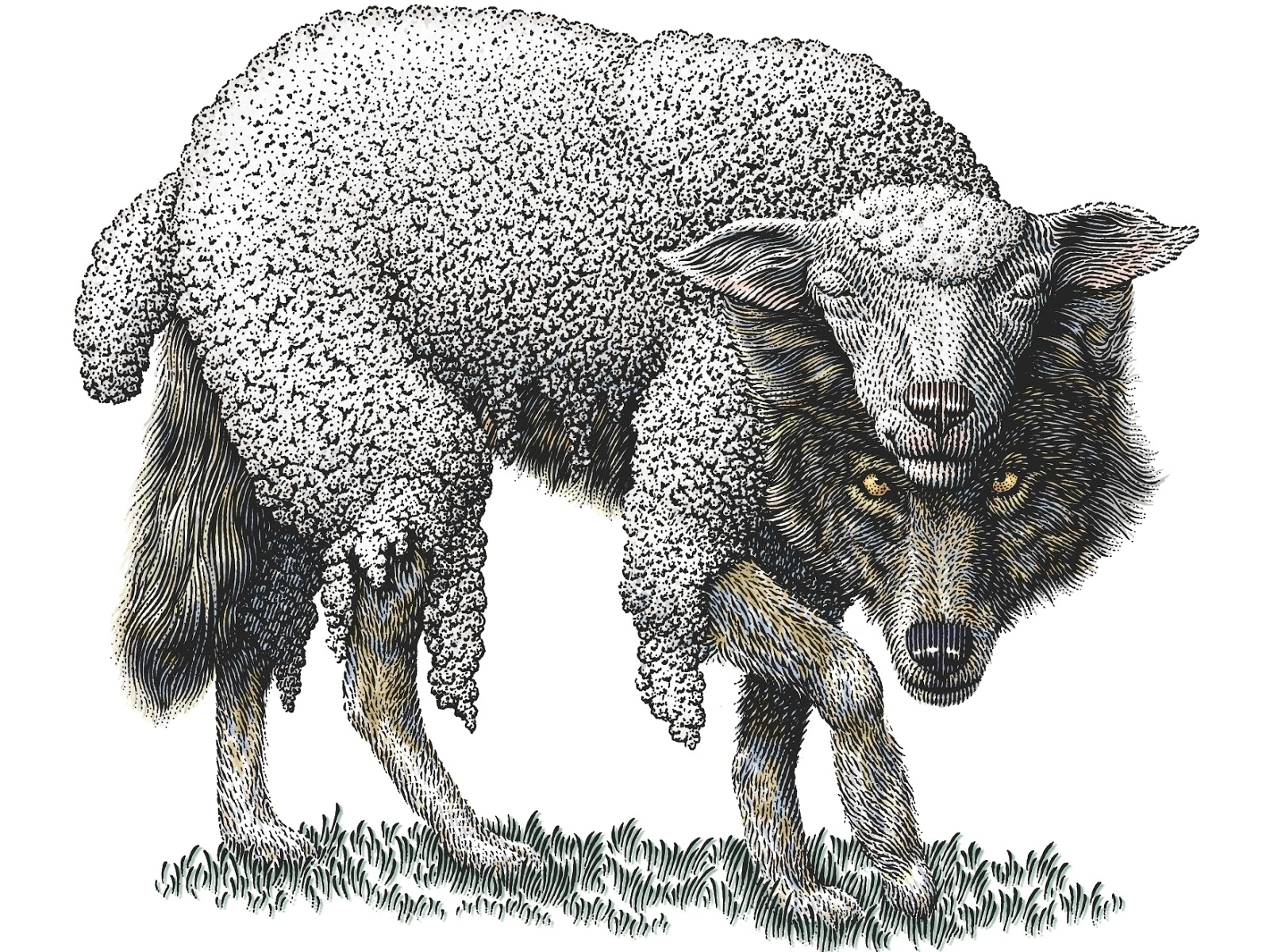 Кәрі, семіз, түкті еркектердің жынысы Интернеттегі үлкен дилдо порно